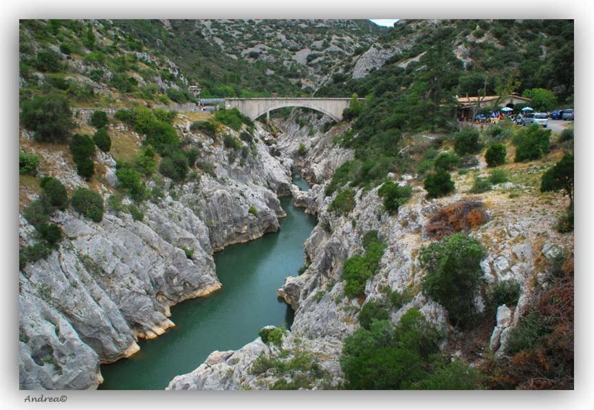 Magnifique Typique Du Sud Avec Piscine Privee Et Jardin Mediterraneen Hébergement de vacances